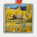 Search for cabin christmas tree decorations Country