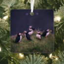 Search for puffin christmas tree decorations Wildlife