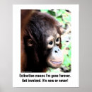 Search for extinction posters Conservation