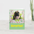 Search for surprise birthday cards Dog