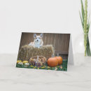 Search for pet halloween cards Fall