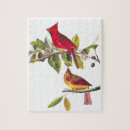 Search for cardinal bird puzzles Audubon