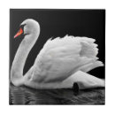 Search for swan tiles Animal