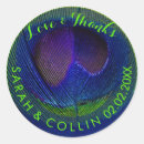 Search for peacock green stickers Blue