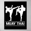 Search for mixed martial arts posters Stand up fighting style