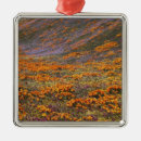 Search for poppy flower christmas tree decorations California