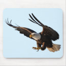 Search for flying eagle mousepads Nature