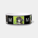 Search for five pet supplies Photo collage