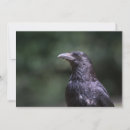 Search for crow cards Black bird