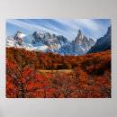 Search for patagonia posters Snow