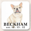 Search for french bulldog coasters Frenchie