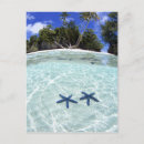 Search for remote postcards Sea