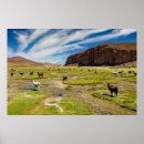 Search for andes mountain posters Mountains