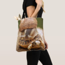 Search for selective focus bags Photography