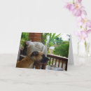 Search for dog sleeping cards Puppy
