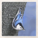 Search for breast coasters Bird