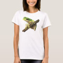Search for cinerea Green tree frog
