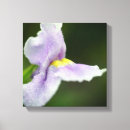 Search for orchid canvas prints Botanical