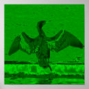 Search for cormorant posters Water