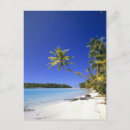 Search for cook island postcards Sand
