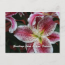 Search for 7th postcards Summer
