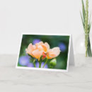 Search for violet colour cards Summer