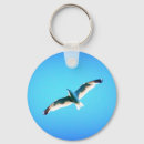Search for glide key rings Soaring