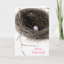 Search for new nest invitations Bird