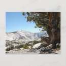 Search for yosemite national park postcards Outdoors