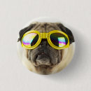 Search for pugs badges Puppy