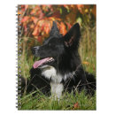 Search for bob and pam langrish Lying down