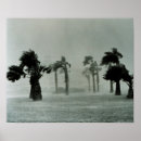 Search for hurricanes posters Storm