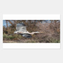 Search for heron stickers Animal