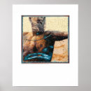 Search for chest posters Xray