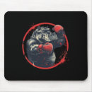 Search for kicked mousepads Motivation