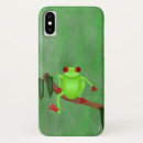 Search for tree frogs cases Amphibians