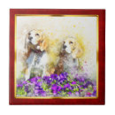 Search for abstract tiles Pet
