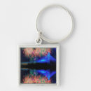 Search for suspension bridge key rings Colour image