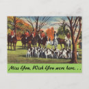 Search for horse sports postcards Vintage