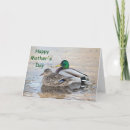 Search for white duck cards Blue
