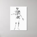 Search for human skeleton art Anatomical