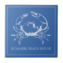 Search for blue and white tiles Ocean