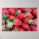 Search for fresh posters Harvest