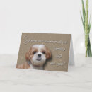 Search for 49th birthday cards Happy