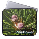 Search for pine cone electronics Green
