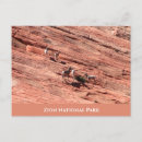 Search for bighorn sheep postcards Zion national park