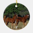 Search for thoroughbred horse christmas tree decorations Equestrian
