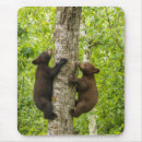 Search for bear mousepads Tree