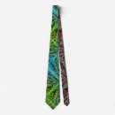 Search for fern leaf ties Plant