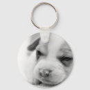 Search for rescue dog key rings Photography